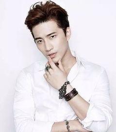 国产男男,新时代影视界的璀璨明珠