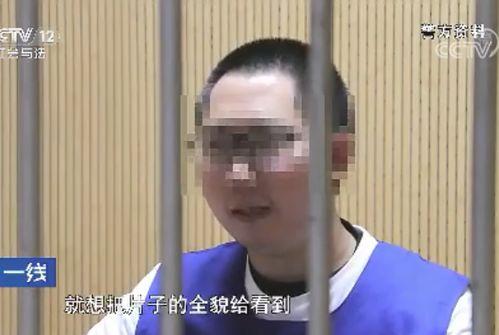 国产91秦先生,揭秘国产影视界的魅力与激情